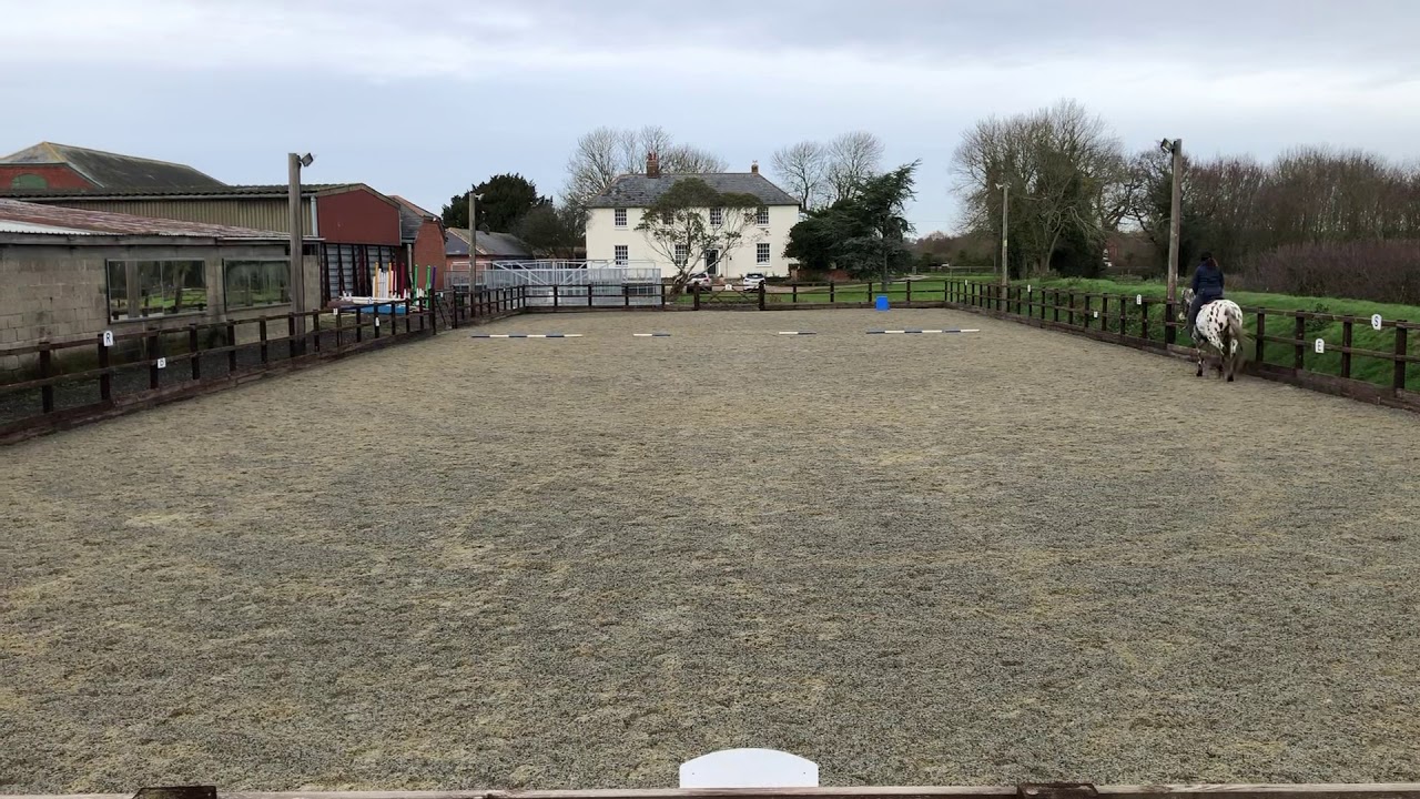 Rowena Parker riding Falcon. Prelim 18 December 2019 YouTube