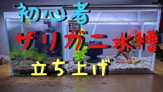プラケースとザリガニ