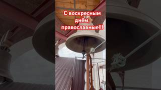 #Христос #Бог #православие #христианство #христианскиепесни #литургия #ХристосВоскресе #Пасха #шортс
