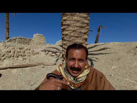 صديق الكل ليس صديق أحد