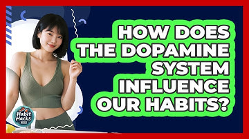 How Does The Dopamine System Influence Our Habits? - Habit Hacks Hub