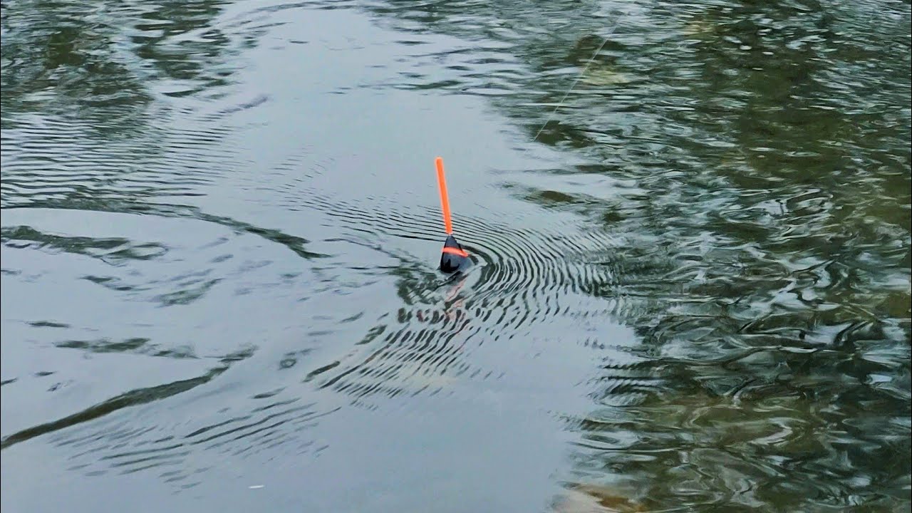 Pecanje SKOBALJA Na CRVA Kad NECE da UZIMA! (Tica Bolognese) Ribolov Na Plovak