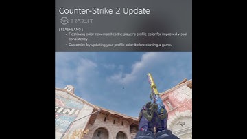 CS2 Colored Flash Update?
