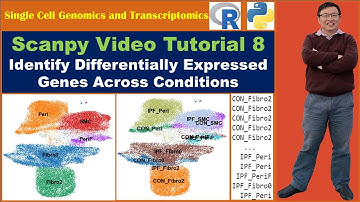 Scanpy Video Tutorial 8: Identify Differentially Expressed Genes Across Conditions
