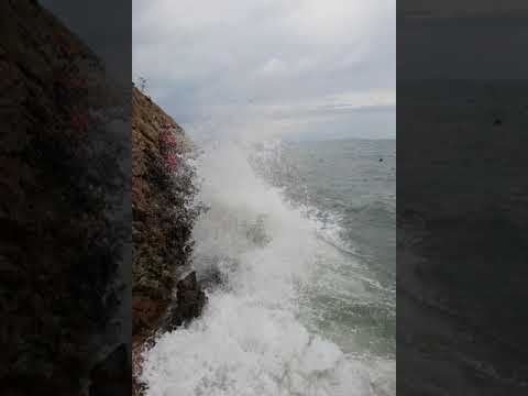 [TJ노래방라운지] 초혼 - 장윤정