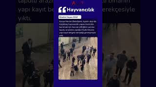 Konya Meramda Evi Ve Ahırı Yıkılmak İstenen Üretici İsyan Etti