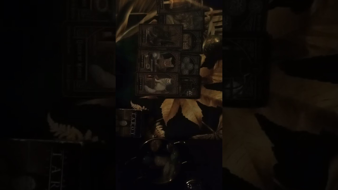 😃DOI BĂRBAȚI VOR INCERCA SĂ LUPTE PENTRU TINE. CASTIGA AL 3LEA 😅🙃💥