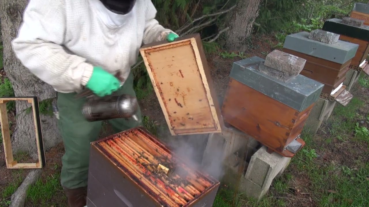 Il est temps d'enlever les lanières