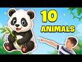 Learn 10 Animal Names in English | Interactive Quiz for Kids