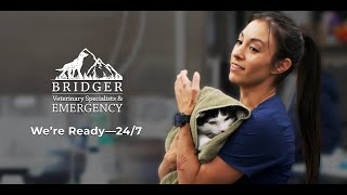 Bridger Veterinary Specialists | 24/7 Emergency Care