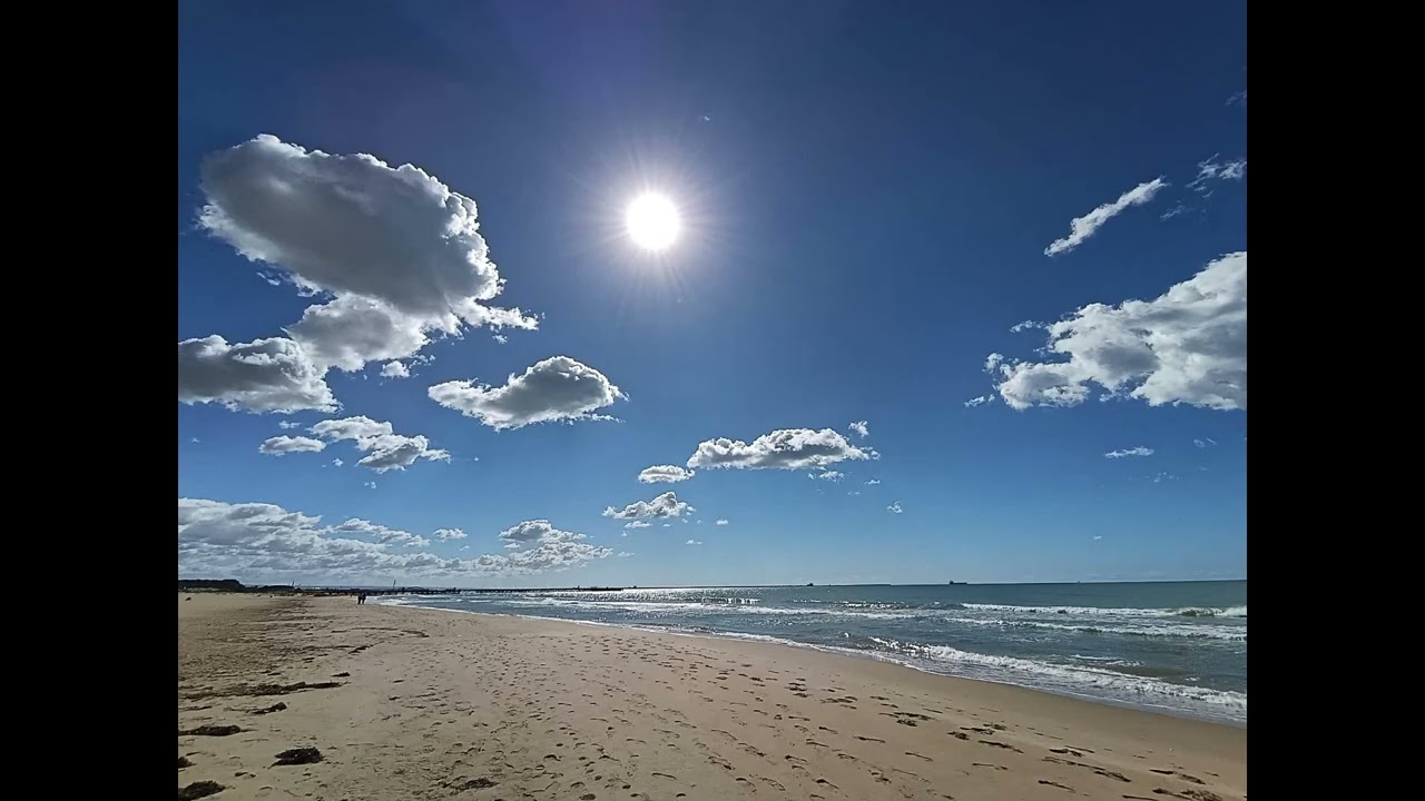 Virginia - Giorgio Giuffrida (2025)