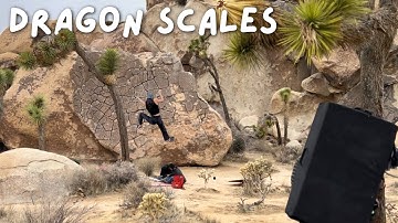 Sweetie Pie V0 (Dragon Scales) - Joshua Tree