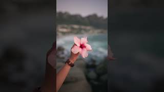 Paying Attention to the Elements  – Jack Kornfield