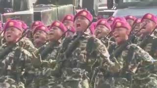 HUT TNI KE 74 - Yel-yel