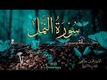 القرآن الكريم سورة النمل القارئ عمر بن عبدالعزيز 