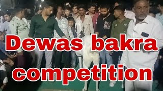 Dewas bakra competition and 1,2,3 winners is all details in video 16/04/2024