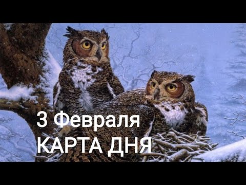 3 Февраля. КАРТА