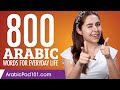 800 arabic words for everyday life  basic vocabulary 40