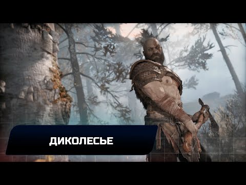 God of war - Диколесье (Все артефакты,скрытые области,сундуки,вороны Одина)