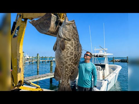 All Of Our Biggest Offshore Catches Grouper Snapper Marlin Tuna Sailfish Wahoo 