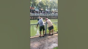 Cô lao công hướng dẫn cách Phóng sinh cá chép vàng cúng ông Công ông Táo và cái kết ntn