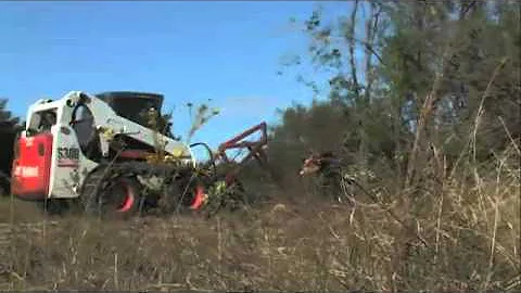 Marshall Tree Saw - Yates' Testimonial