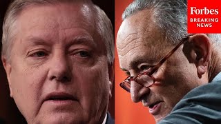 'Sen. Schumer, This Is Illegal!': Lindsey Graham Castigates Democrats Over Mayorkas Impeachment