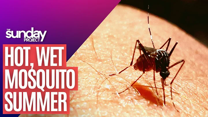 Mosquito Warning: Hot, Wet Summer Means - DayDayNews