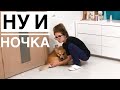 ТРУДНАЯ НОЧЬ😓 Таффочке плохо. 10.11.20 VLOG