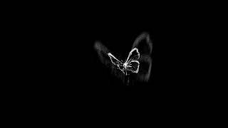 Siyah Kelebekler & The Remedy For A Broken Heart (Why Am I So In Love)
