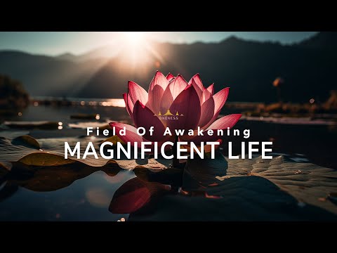 FOA Magnificent life