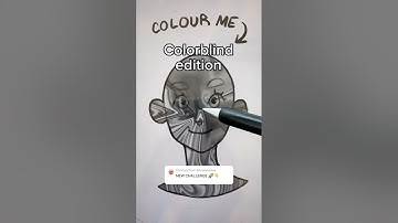 RANDOM Colors TRANSFORM My Drawing..❌🌈😳(Color Blind Edition) #artchallenge #drawing #guessthecolor