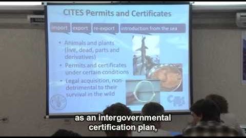 Overview of CITES and Appendix II Requirements and Marine Species in CITES (Spanish w/Eng Subtitles)