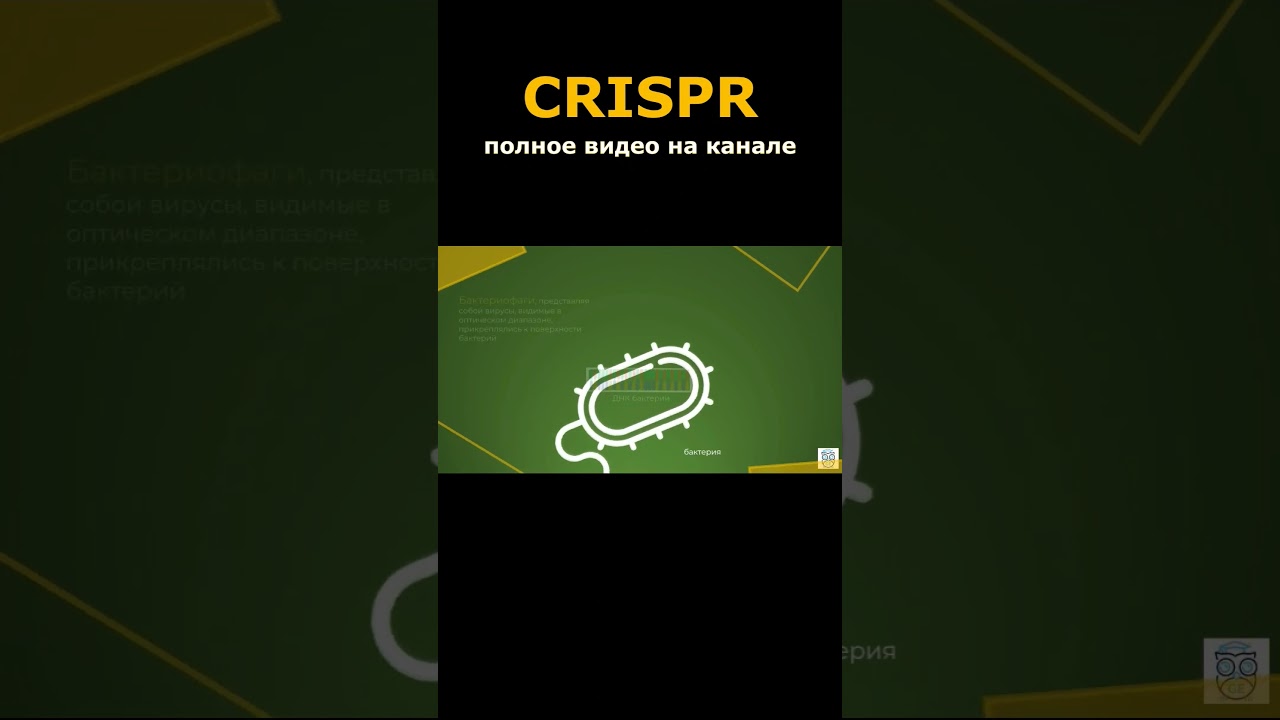 CRISPR-Cas9 
