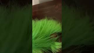 grinch stole my onion