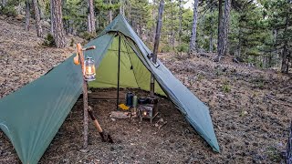 24 HOURS ALONE TENT CAMPING WITH STOVE IN THE BLACK PINE FOREST (ASMR)