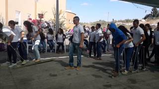 Myjulis Eid 2013 8A Walk A Log