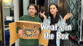 What’s in the box challenge| zainab ko mila 2nd chance | Rabia Faisal | Sistrolgy