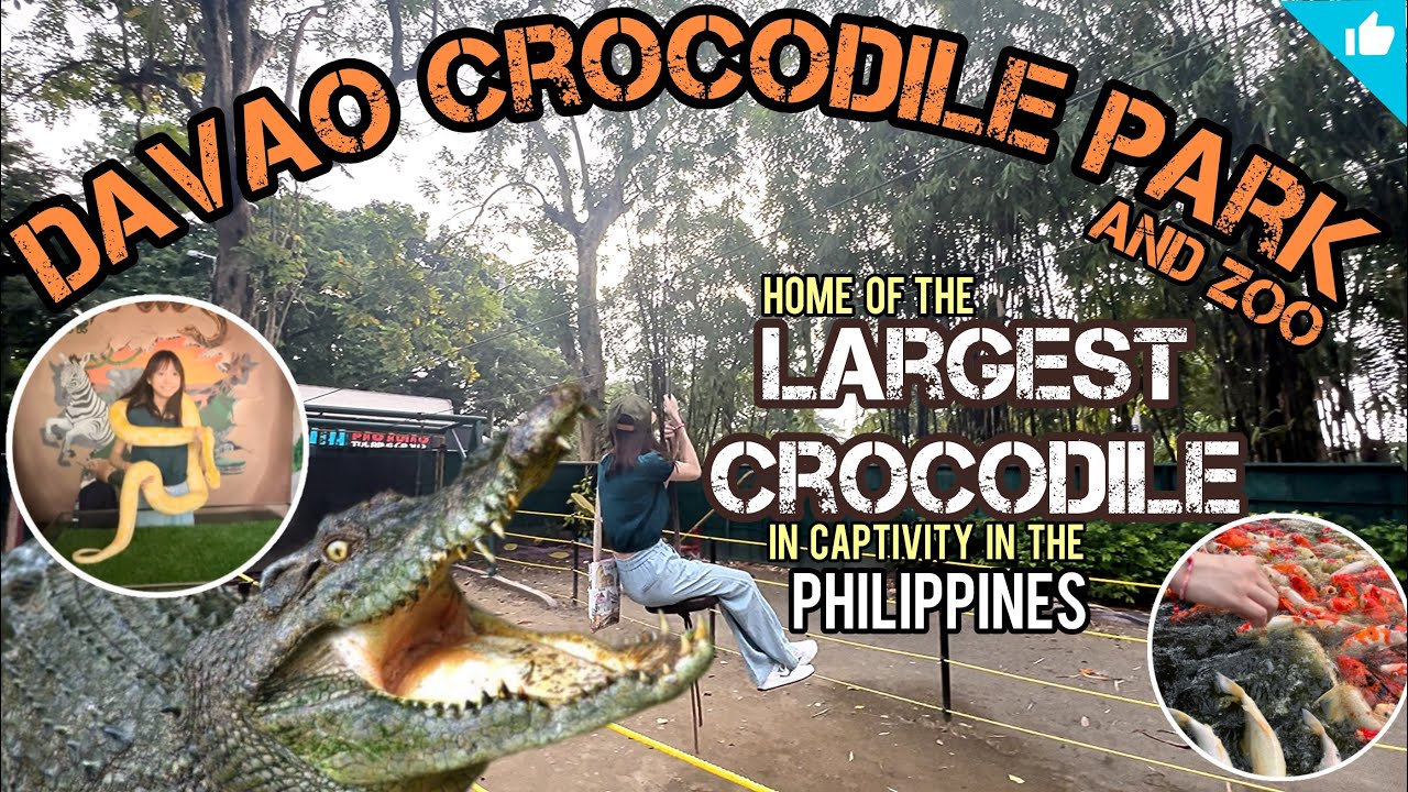 Davao CROCODILE PARK and ZOO Davao City Philippines | Cherriblyme