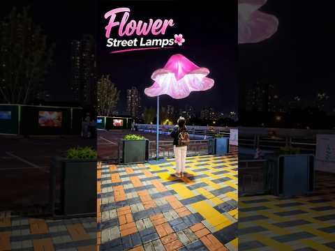 Have You Seen Flower Street Lamps?