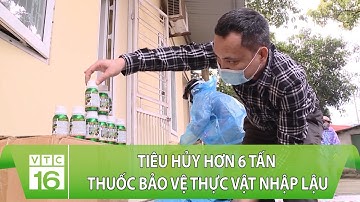 Tiêu hủy hơn 6 tấn thuốc bảo vệ thực vật nhập lậu | VTC16