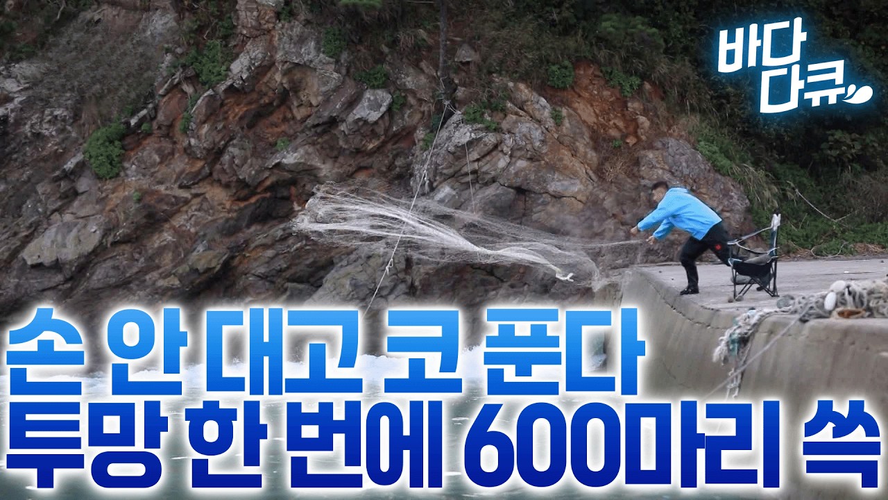이래서 내가 낚시를 안 합니다, 한번 던지면 600마리 잡는데 짜릿한 투망의 손맛에서 벗어나지 못하는 투망꾼들 / #바다다큐