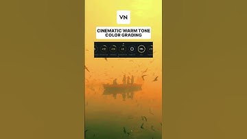 CINEMATIC WARM TONE Color Grading in VN | VN video editor #tutorial #vn #colourgrading #shorts