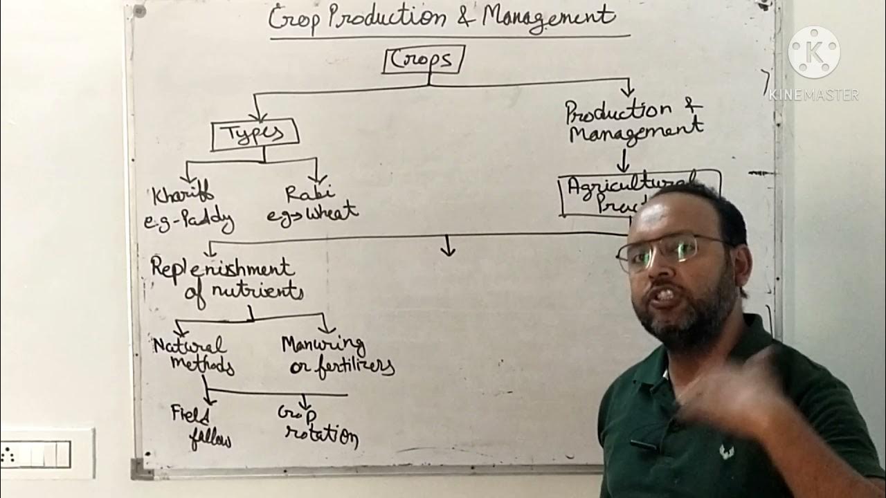 class8 Crop Production And Management Mind Map YouTube class8-crop-production-and-management-mind-map-youtube