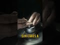 Los árboles tienen "sueños hídricos" - Durante sequías, ajustan su metabolismo como si anticiparan l
