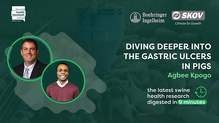 Agbee Kpogo: Gastric Ulcers in Pigs | Ep. 15