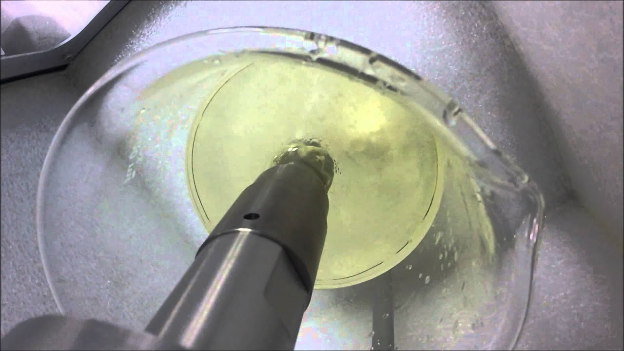 Q700 Sonicator with a Booster Horn YouTube