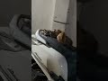 Cute Kittens