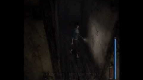 Fatal frame 3 the tormented #_7_#  Finally !! we will open that gate :D