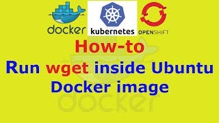 How to run wget inside Ubuntu Docker image